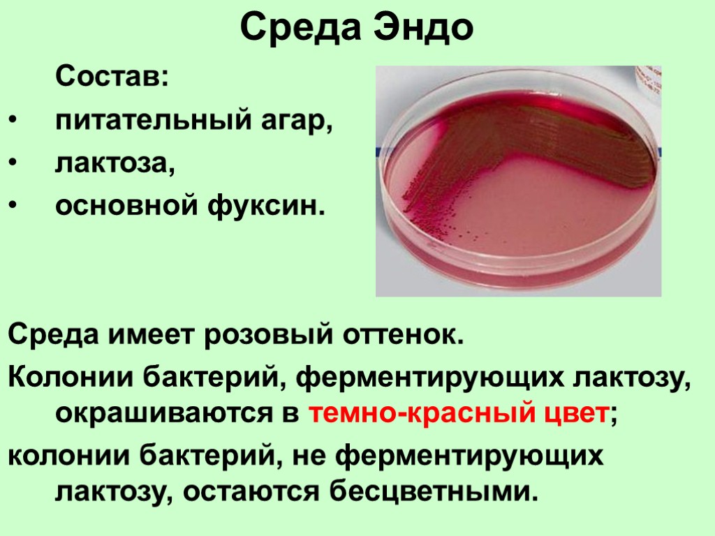 Среда Эндо Состав: питательный агар, лактоза, основной фуксин. Среда имеет розовый оттенок. Колонии бактерий,